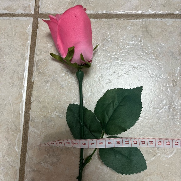 FOR SIZE REFERENCE - Picture 2 of 2